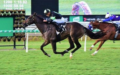 Scallopini, Eagle Farm and Steve O’Dea!