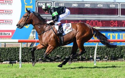 Further boost for QLD racing industry