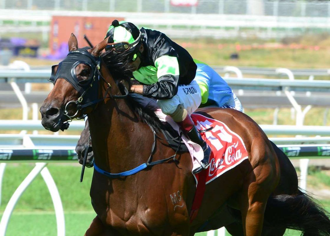 Magic Millions by the numbers - Proven Thoroughbreds