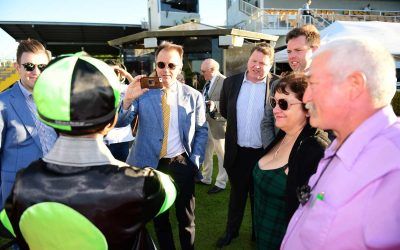 Magic Millions by the numbers