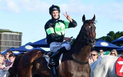 SCALLOPINI sizzles in Sunshine Coast Cup!