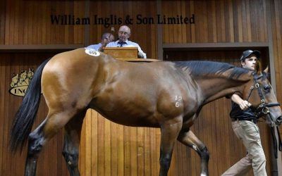 Inglis Premier wrap – Proven lands 3