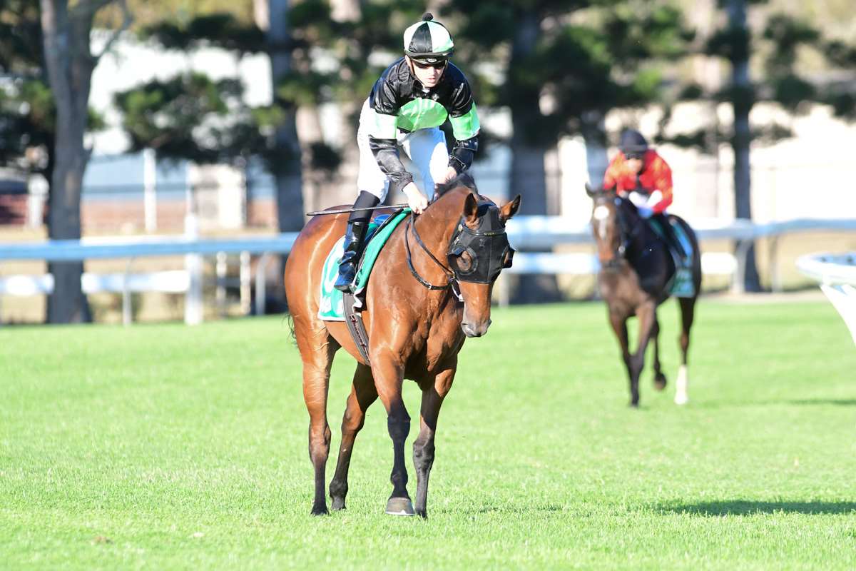 Nisbets Eagle Farm - More Pictures From The Ramp | Jetcareers : Small spec on our playboy here at eagle farm.