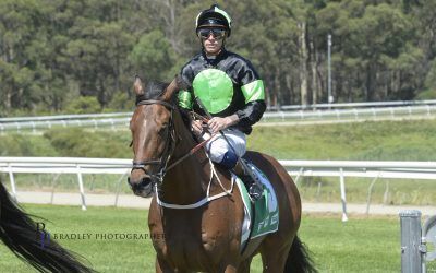 WAR DECK & DON’T DESPAIR combine for Sunday double