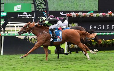 STELLAR MAGIC highlights trio of weekend winners