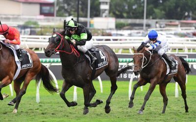 PRIVATE EYE in QLD Guineas triumph