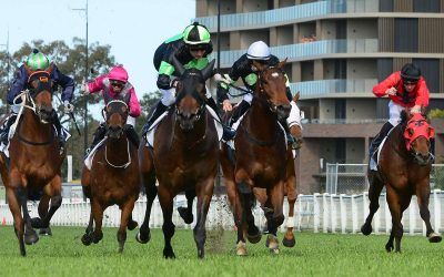 CONTEMPTUOUS leads in Proven quinella