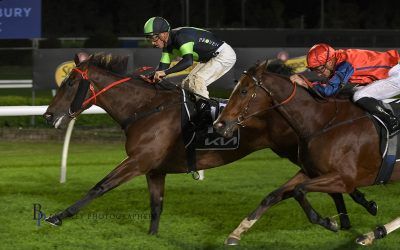 Tenacious SNIPPY lights up Canterbury