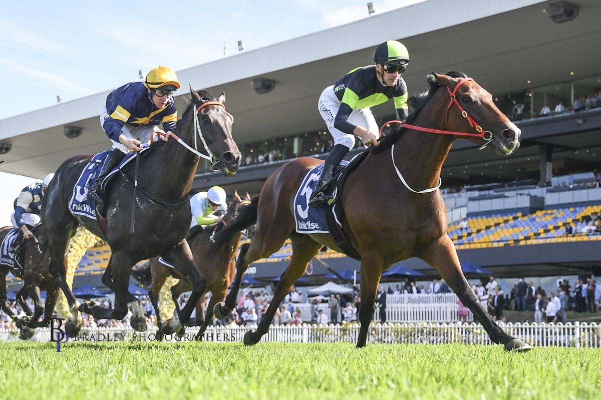 Proven Thoroughbreds :: Latest News