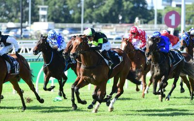 STROLL stamps her potential