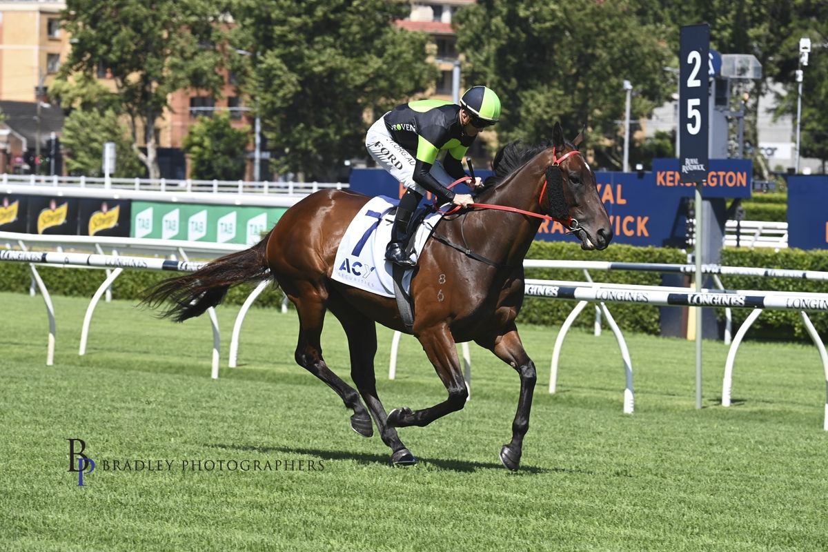 Proven Thoroughbreds :: Latest News