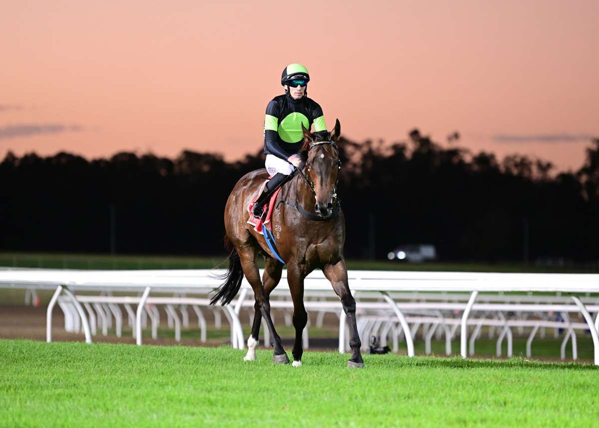 Proven Thoroughbreds :: Latest News