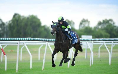 Punters climb aboard the VANTAN EXPRESS!