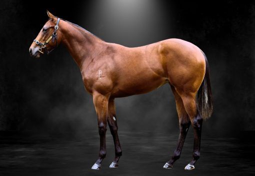 Southern Grace
