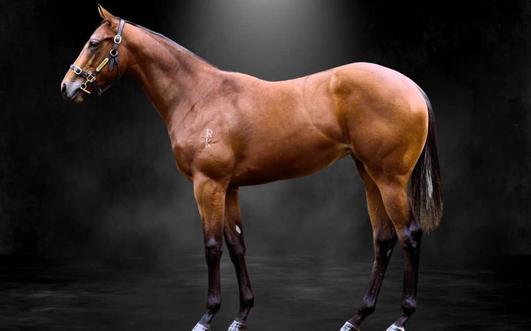 Southern Grace