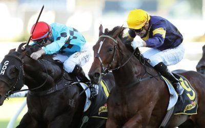 All Aged Stakes day preview