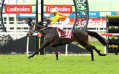 2024 QLD Oaks day preview