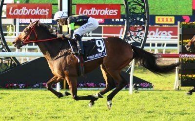 2024 Stradbroke Day preview