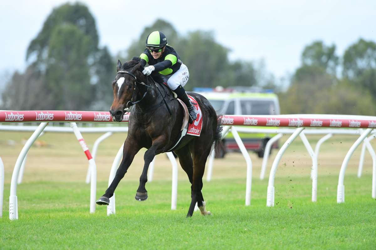 Proven Thoroughbreds :: Latest News