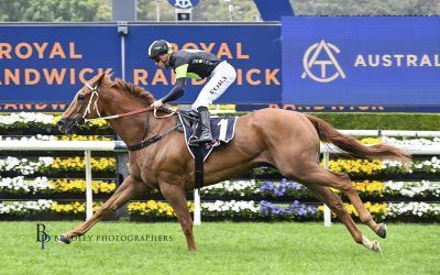 BANDIT soars on Cup day!