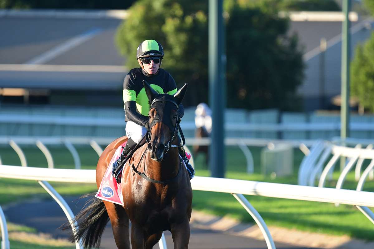 Jo Rathbone BOARD MEMBER goes back to back! - Proven Thoroughbreds