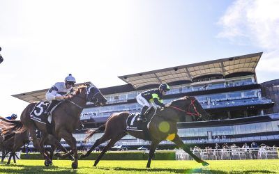 Black type beckons for COSMONOVA