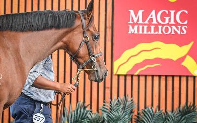 MM Adelaide wrap – Fierce fillies!