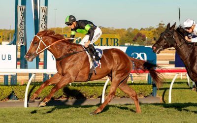 Bandit steals Wagga Cup!
