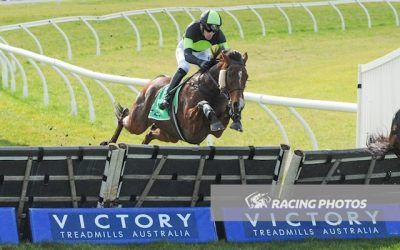 STOCKMAN leaps to victory!