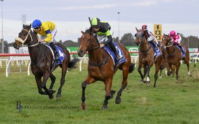 WILD THOUGHTS tames his rivals!