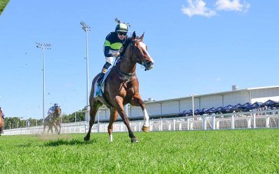 The Week Ahead Sep 17