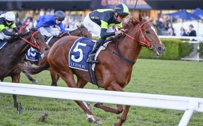 The Week Ahead Oct 29