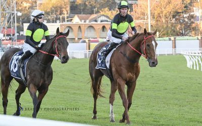 The Week Ahead Nov 12