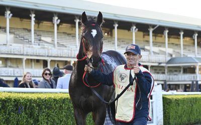 The Week Ahead Nov 26