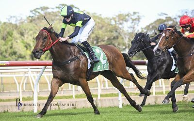 COLUMBIA BLUE too classy