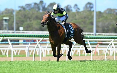 The Week Ahead Dec 3