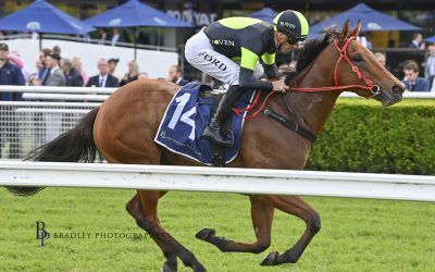 The Week Ahead Dec 11