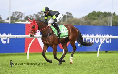 The Week Ahead Dec 17