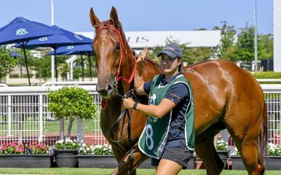 The Week Ahead Christmas edition