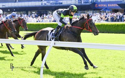 The Week Ahead Jan 1