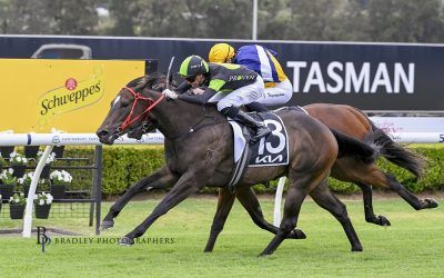 The Happiest New Year!