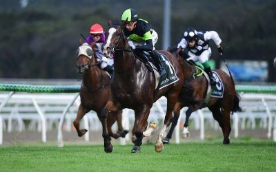 LARADO back in business!