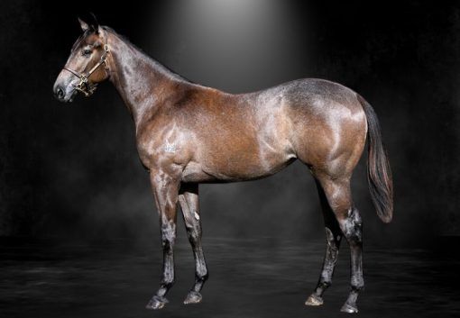 State Of Rest X Make My Own Luck