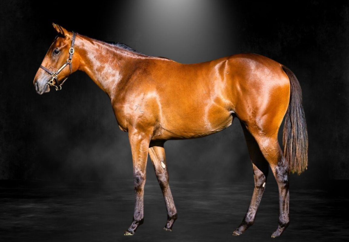 In The Congo X She’s Bobby’s Girl