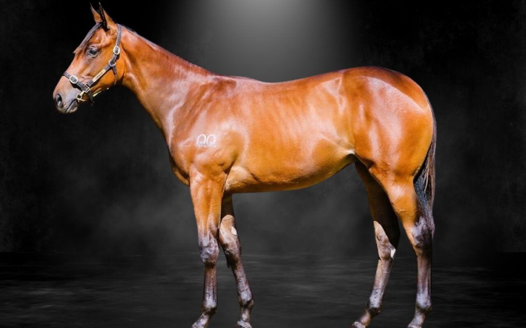 Ghaiyyath X Water Rising