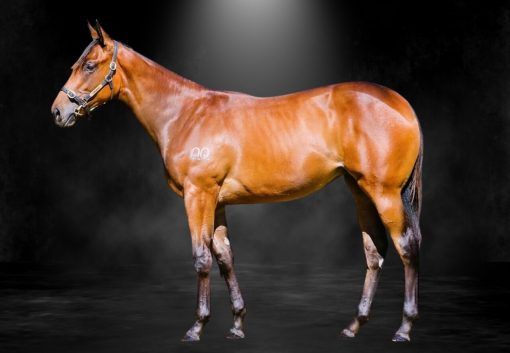 Ghaiyyath X Water Rising