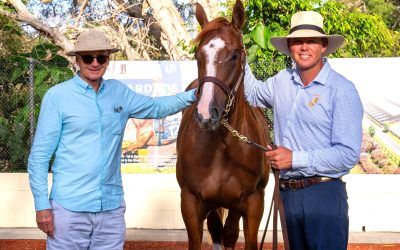 2026 Magic Millions – The select 7!