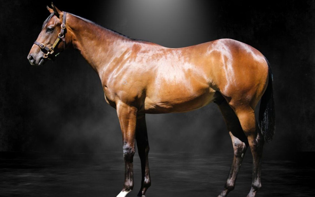 State Of Rest X Russian Glam