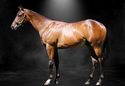 State Of Rest X Russian Glam