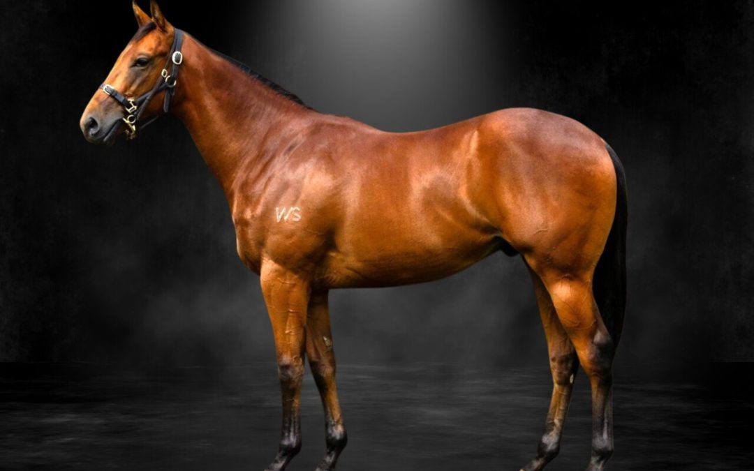 Super Seth X Wintour